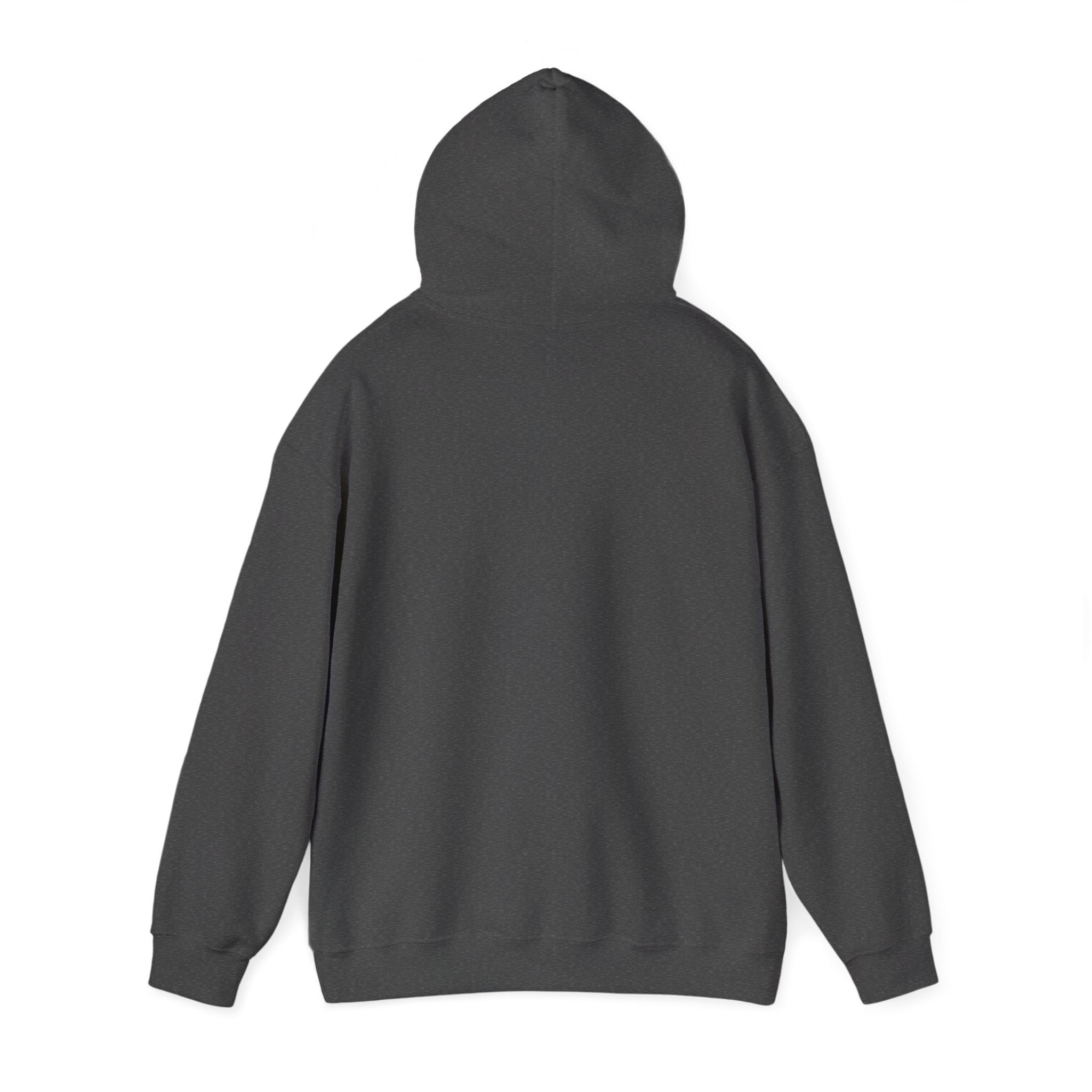 Loui Beton - Hoodie